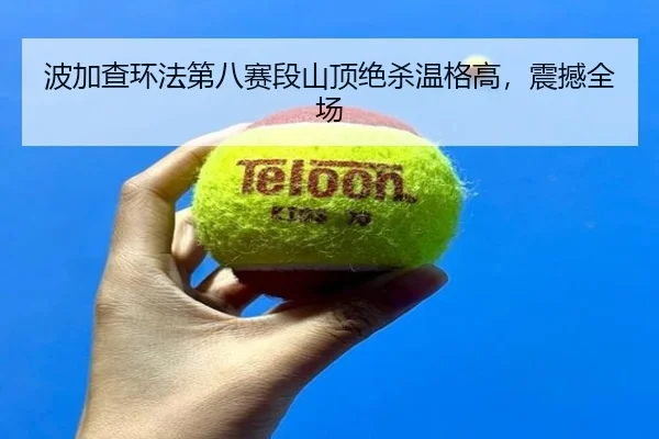 bo-jia-cha-huan-fa-di-ba-sai-duan-shan-ding-jue-sha-wen-ge-gao-zhen-han-quan-chang-2-310.jpg