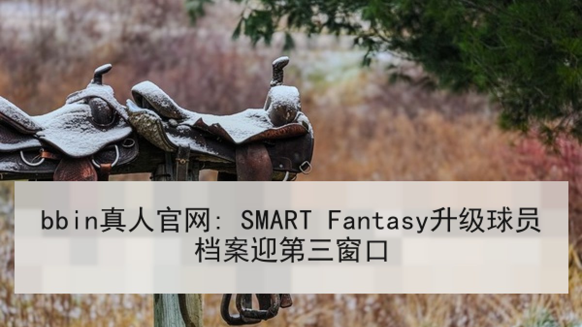 bbin真人官网: SMART Fantasy升级球员档案迎第三窗口