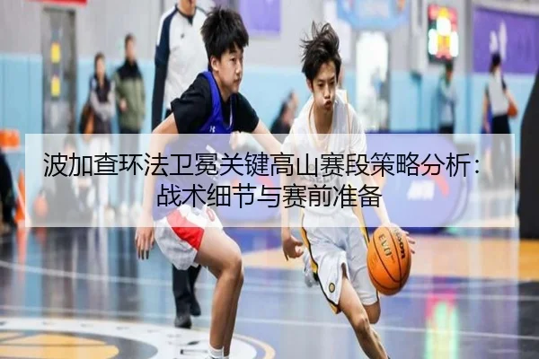 波加查环法卫冕关键高山赛段策略分析：战术细节与赛前准备