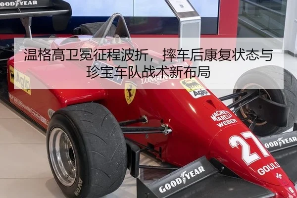 温格高卫冕征程波折，摔车后康复状态与珍宝车队战术新布局